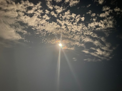 cheycedelics onlyfans leaked picture 2