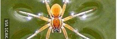 kokonutwater onlyfans leaked picture 2