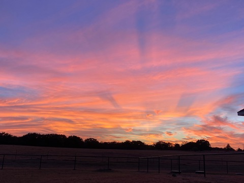 maddiewhitlock13 onlyfans leaked picture 1