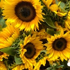 maurishka onlyfans leaked picture 1