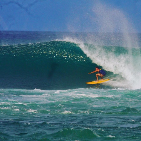 ozzysurvivor onlyfans leaked picture 2