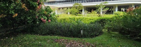 patdipet onlyfans leaked picture 1