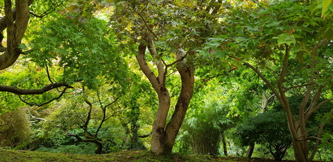 sammiemarie onlyfans leaked picture 2