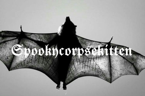 spookycorpsekitten onlyfans leaked picture 1