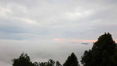 sweetidea onlyfans leaked picture 1