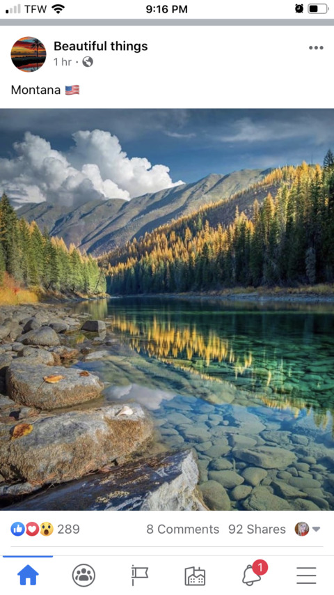 thatonejeepgirlx onlyfans leaked picture 2