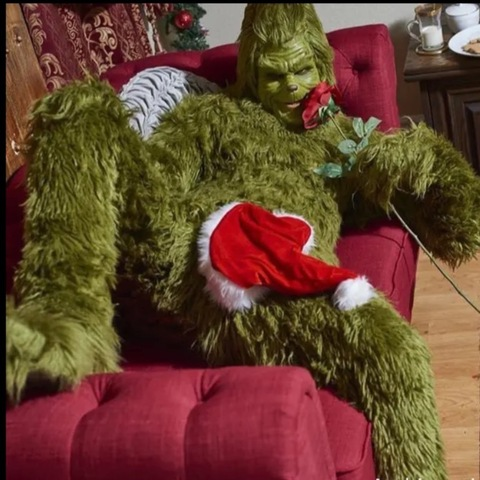 thegrinchhh onlyfans leaked picture 1