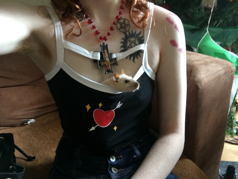 transmac onlyfans leaked picture 1