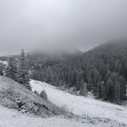 u11828621 onlyfans leaked picture 1