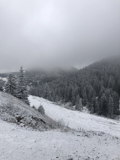 u11828621 onlyfans leaked picture 2