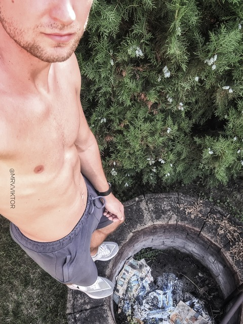 vik.tormek99 onlyfans leaked picture 2