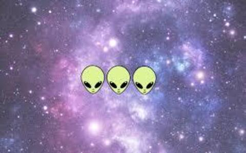 xandrawild onlyfans leaked picture 2