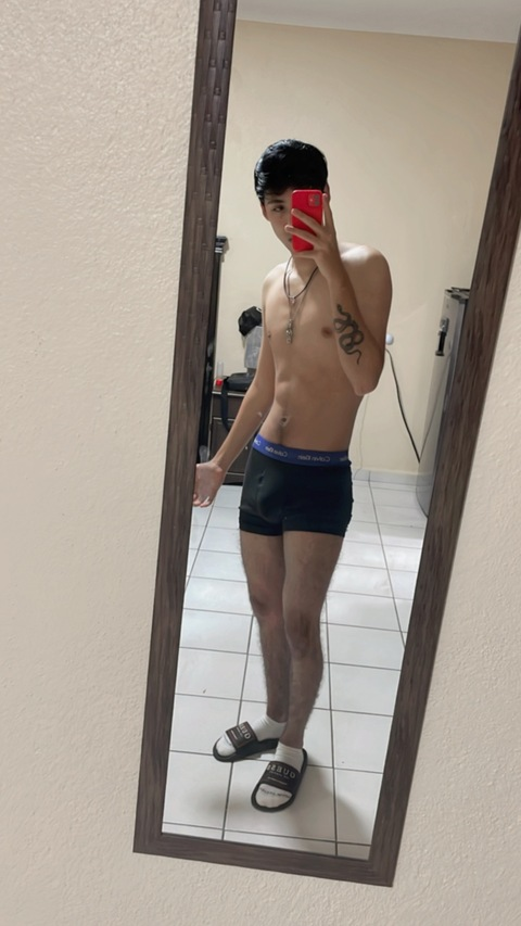 zamudiote01 onlyfans leaked picture 1